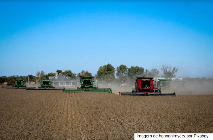 Colheita de soja atinge 64% da área plantada no Brasil, diz consultoria