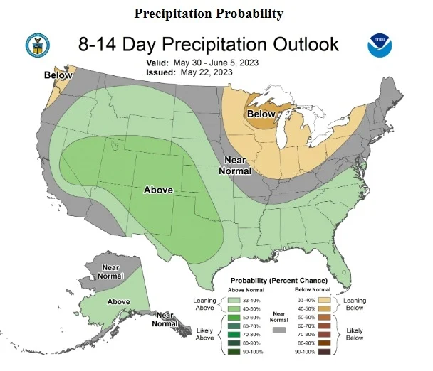USDA: Clima nos EUA permite nova semana de bom avanço no plantio, mas começa a preocupar para desenvolvimento