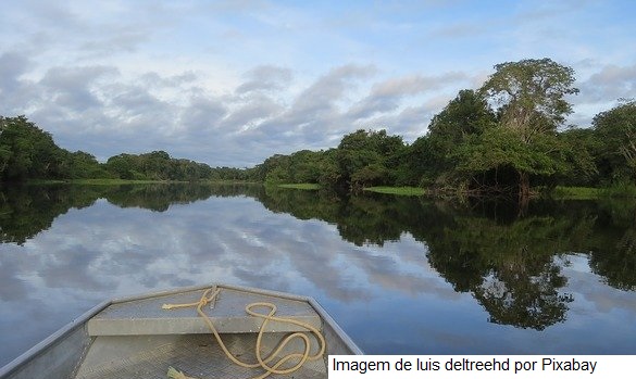 Mapa promove debate sobre plano para desenvolvimento sustentável da Amazônia Legal