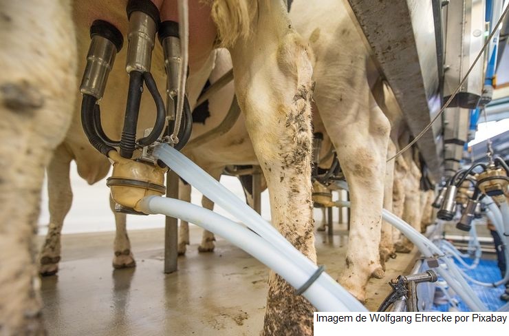 Produção de leite a nível mundial pode atingir 4,59 milhões de toneladas em 2023
