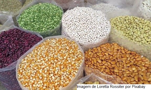 Agro brasileiro tem exportações de US$ 11,3 bilhões em julho