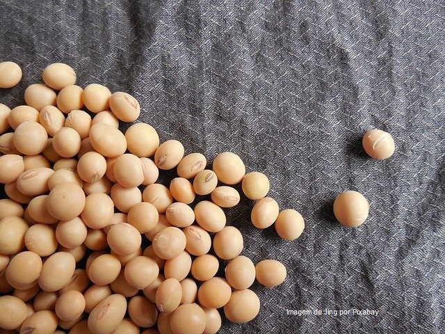 Previsão de Safra: IEA aponta boas perspectivas de produção e produtividade para os grãos em 2021