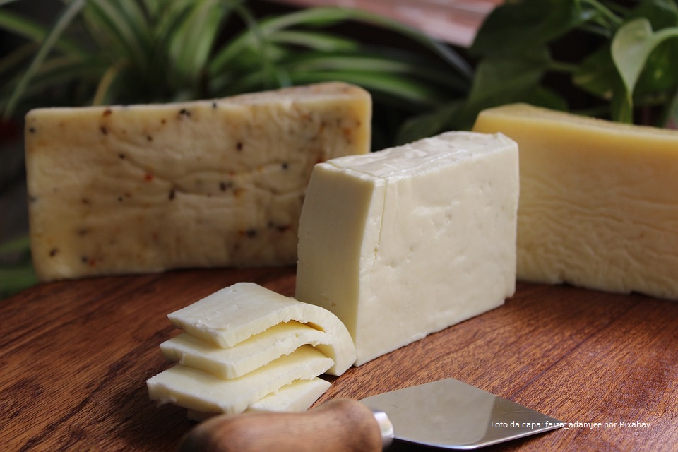 Vivência do queijo artesanal na Bahia