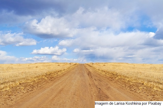Perdas na safra de verão preocupam entidades do agro