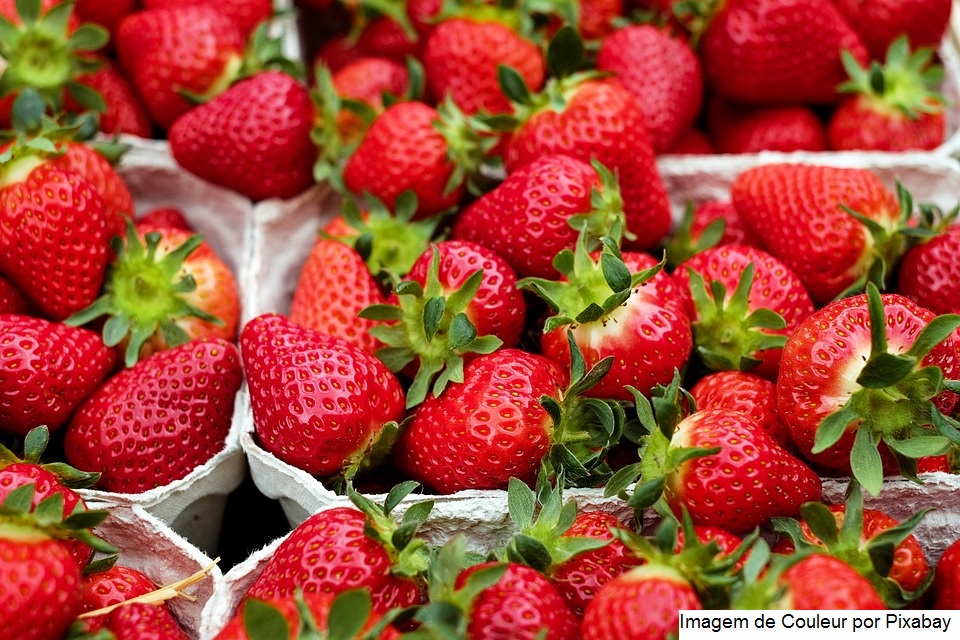 CNA apresenta oportunidades de exportações de alimentos para a Ucrânia