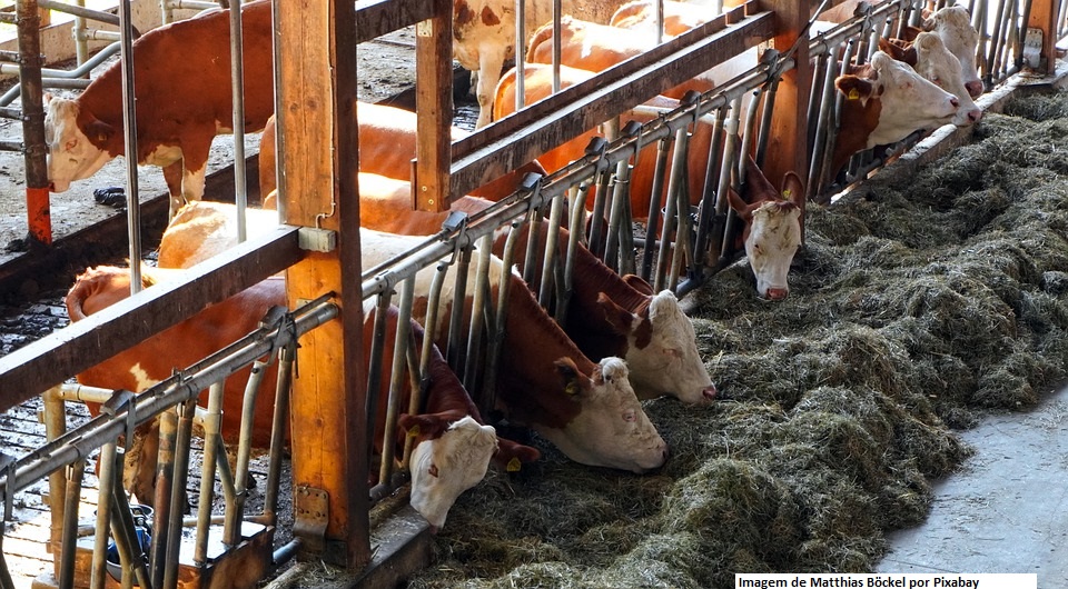 RS: aplicativo vai expandir capacidade de vigilância agropecuária