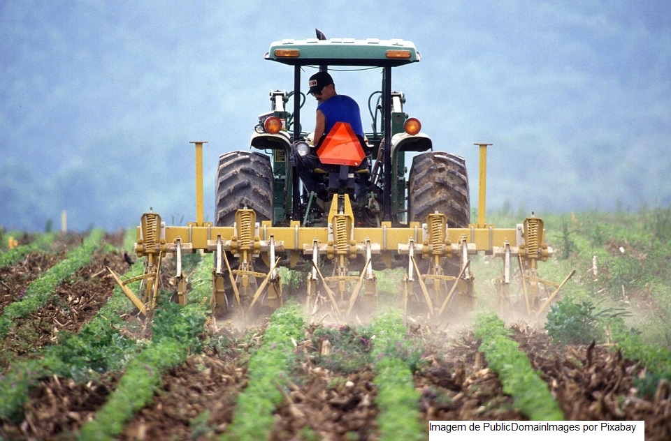 Campo Futuro analisa custos de produção em sete estados