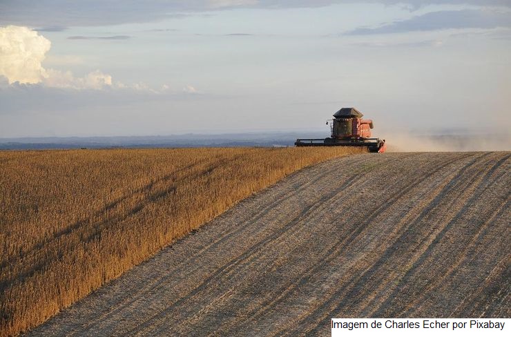 SOJA/CEPEA: Procura elevada e greve na argentina impulsionam cotações do óleo de soja