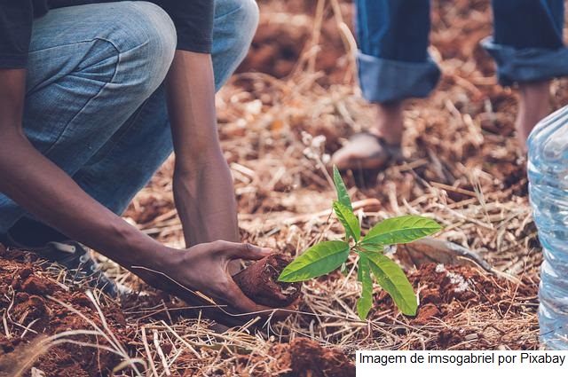 Em evento, ministro destaca potencial do Brasil de ampliar área agrícola irrigada com sustentabilidade
