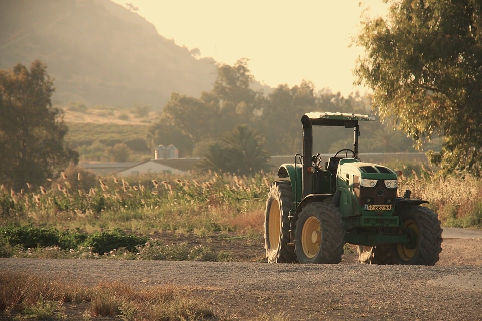 PIB do agro sobe com safra recorde e impulso da pecuária