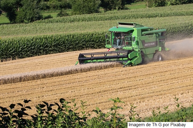 Valor da Produção Agropecuária de 2021 atinge R$ 1,129 trilhão