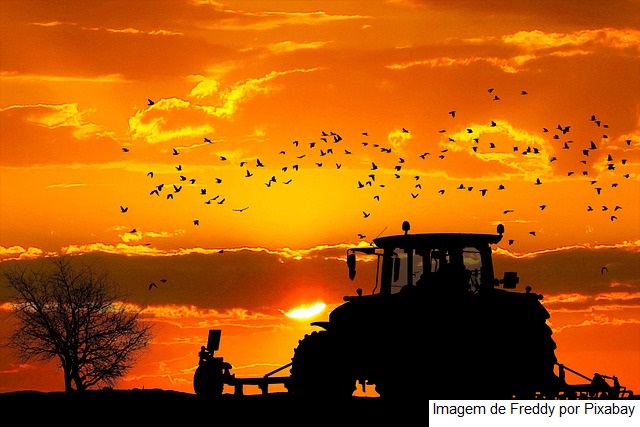 Valor da Produção Agropecuária deve atingir R$ 1,159 trilhão este ano