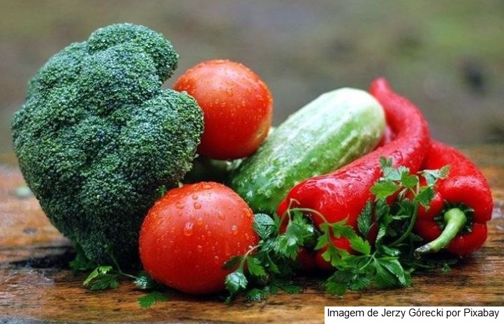 Pesquisa confirma segurança para consumo dos vegetais comercializados no país