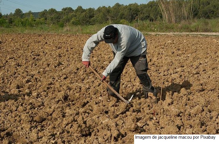 Em Goiás, setor agropecuário já criou mais de 7,2 mil empregos formais em 2022