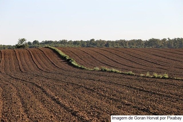 Embrapa apresenta experiência brasileira na recarbonização de solos em plenária da FAO