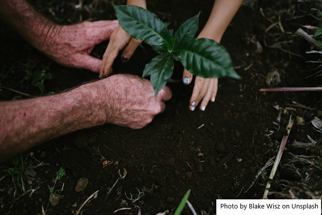 “Solo do Acre ainda é bebê” e potencial agrícola é gigante