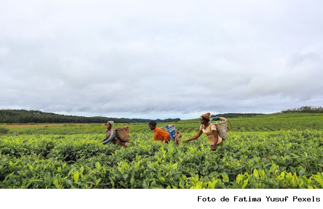 Programa AgroAmigo oferece R$ 1 bilhão em microcrédito