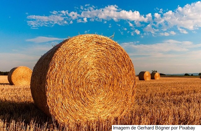 Argentina – Custos Regionais de Produção de leite, valores atualizados a junho de 2021