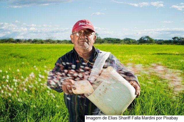 Portaria institui novo documento para agricultor familiar acessar o Pronaf
