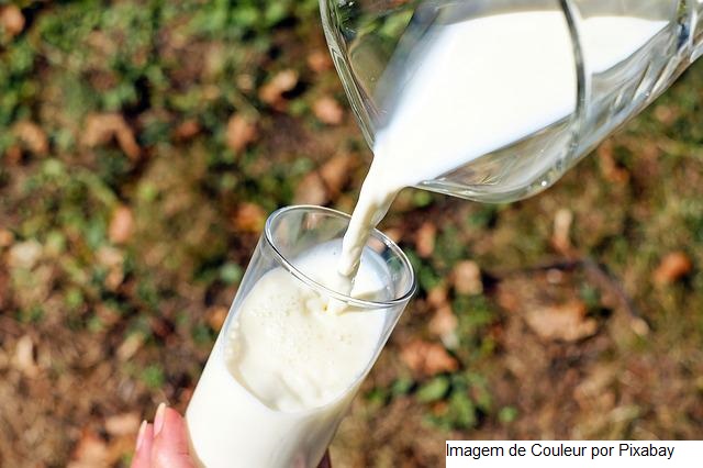 Dia de Campo apresentará estratégias para reduzir custo de produção na atividade leiteira