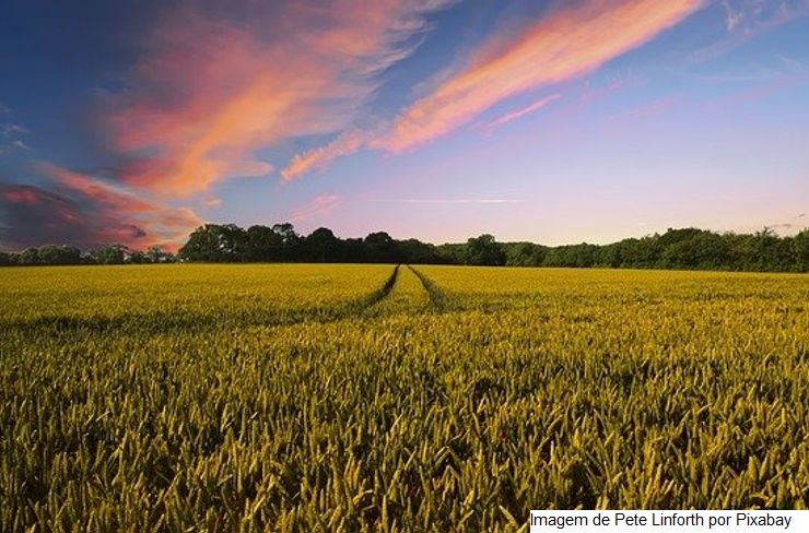 Mapa participa de reunião de alto nível sobre inovação global na agricultura