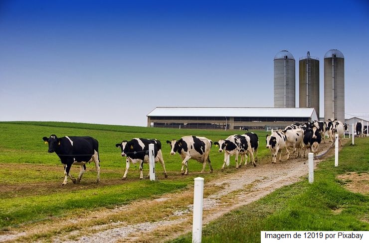 Baixa remuneração e diminuição no número de produtores marcam o ano de 2023 da cadeia leiteira