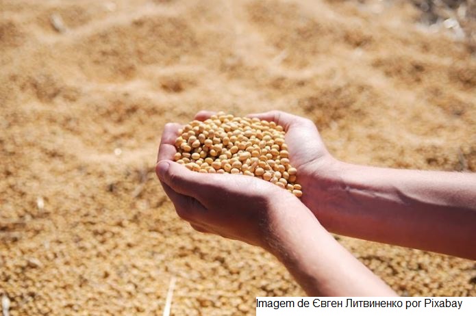 USDA informa venda de 264,250 mil t de soja nesta 5ª feira