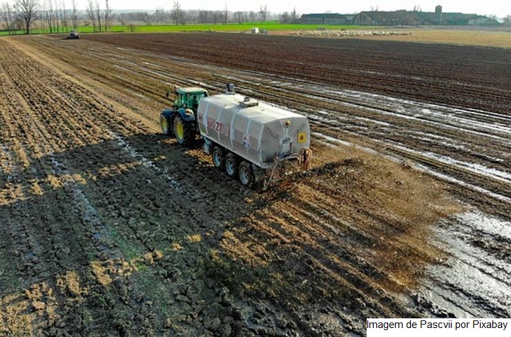 EPAMIG avalia alternativas para uso racional e substituição parcial de fertilizantes minerais