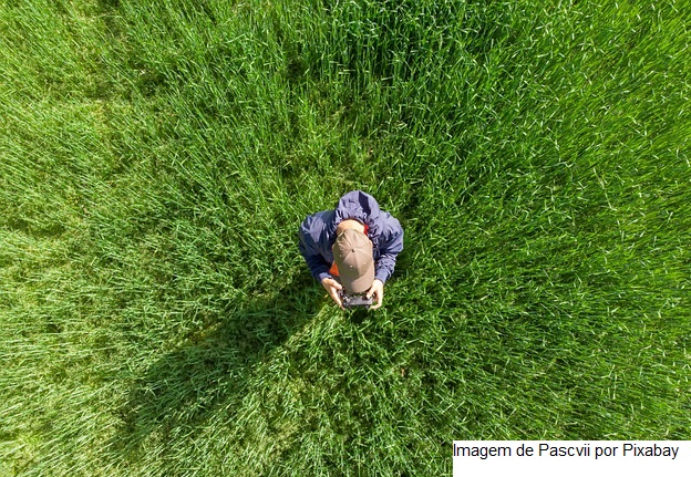 Soluções para pequenos agricultores serão apoiadas em projeto do Facebook