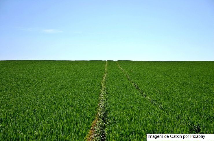 Programa Nacional de Zoneamento Agrícola de Risco Climático divulga o cronograma de publicações para 2022