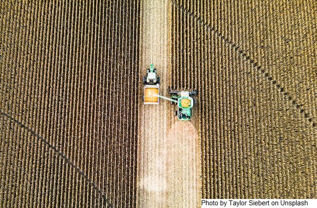 Balança comercial: Agro paulista cresce 11,9% nos sete primeiros meses de 2021