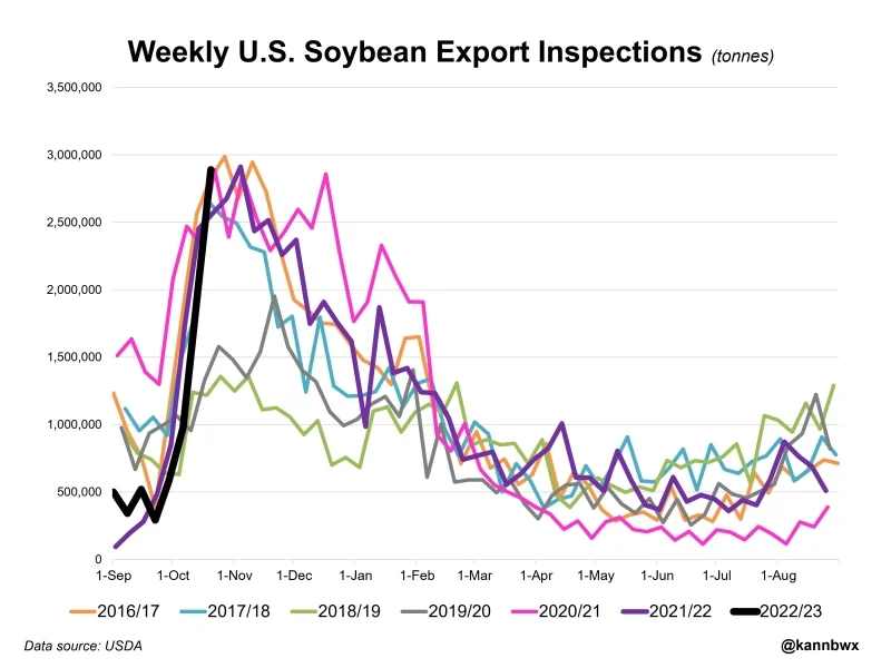USDA traz embarques semanais de soja fortes e acima do esperado, mesmo com logística ainda comprometida
