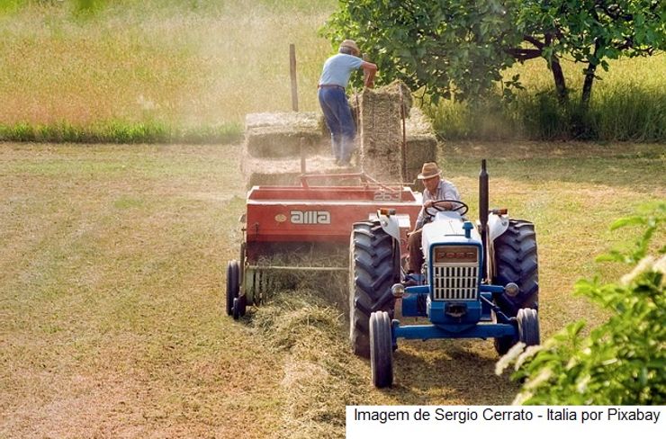 Projeto Hubtech vai apoiar trabalho de extensionistas e agricultores familiares