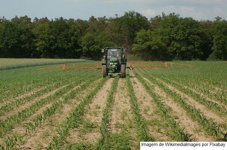 Produtor rural faz do Brasil uma potência agrícola, diz ministro em evento sobre avicultura e suinocultura