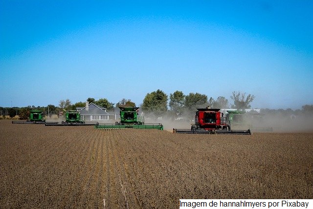 Produção brasileira de soja na safra 2021/22 deve crescer 3,9%