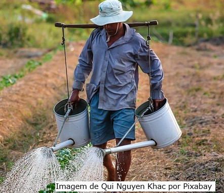 IEA: Produtor paulista recebeu 1,47% menos em agosto ante julho