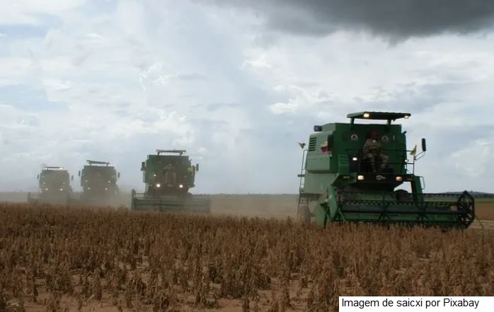 Soja: produtividade esperada é reduzida na área da Coopavel (PR)