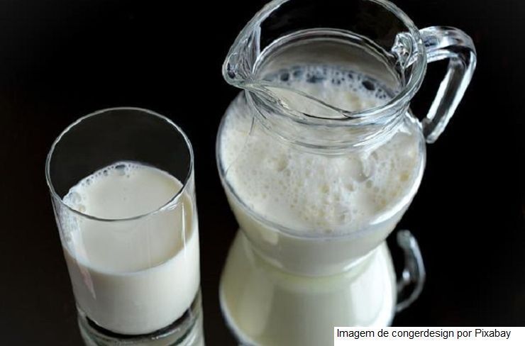Crescimento das bebidas vegetais podem ir de mãos dadas com os lácteos