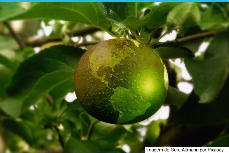 DSM anuncia compromissos de sustentabilidade que envolvem todo o sistema alimentar global