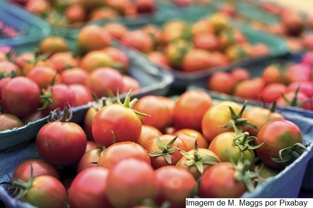 Produção de alimentos em 2021 criou 92% mais novos postos de trabalho que 2020