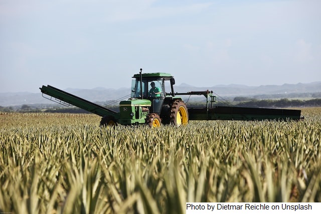 PIB-Agro/CEPEA: Ainda pressionado por custo alto, PIB do agro recua 1,7% no 2º tri; no ano, queda é de 2,5%