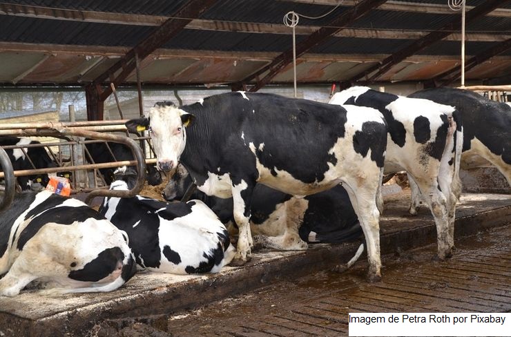 Conheça a história de amor pelo campo que passou de mãe para filha