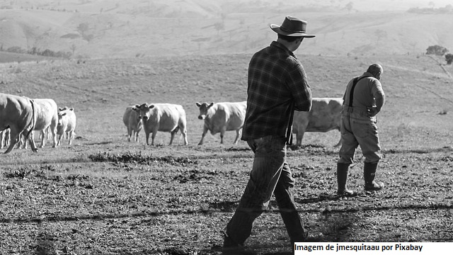No Dia do Produtor Rural, Ministério da Agricultura celebra 161 anos de história