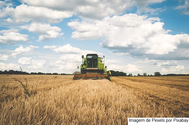 Valor da Produção Agropecuária de 2022 está estimado em R$ 1,241 trilhão
