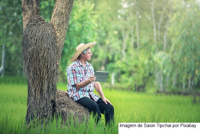 Mapa e IF Goiano firmam parceria para estimular inovação na agropecuária de Goiás