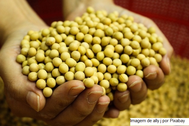 Soja tem altas acumuladas de até 11% em Chicago e mercado brasileiro registra semana de preços melhores