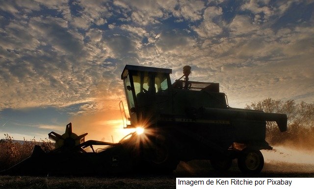 Ipea revisa as projeções do PIB Agropecuário para 2022
