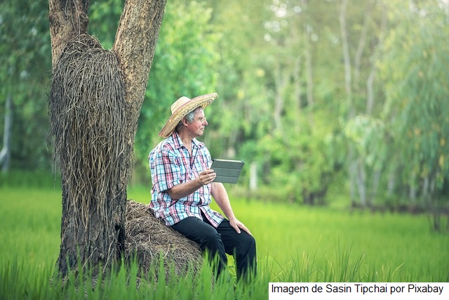 Seis agritechs vencem AgroNordeste Digital - Desafio de Startups do Agro