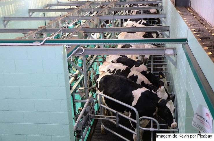 Neto assume gestão e ultrapassa 150% em produtividade