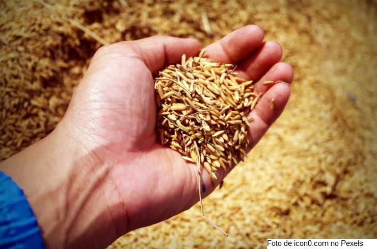 Ministro destaca força do produtor rural na abertura da Agrishow 2022, em Ribeirão Preto (SP)
